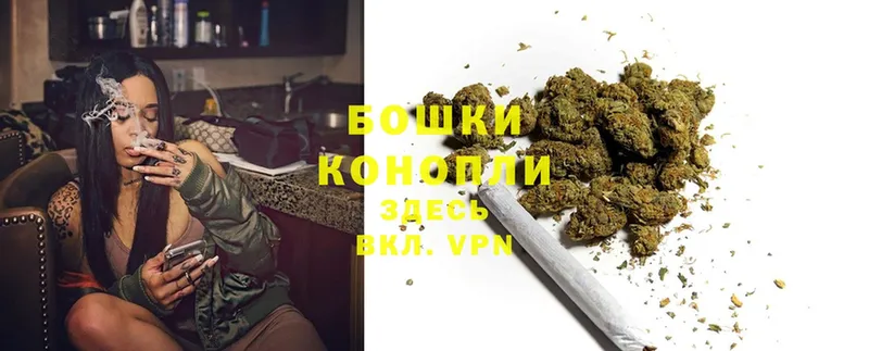 МАРИХУАНА SATIVA & INDICA  Иланский 